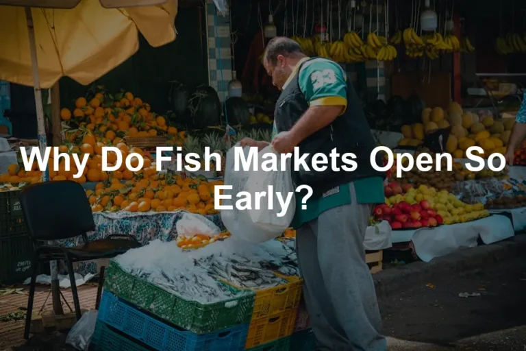 Featured image for Why Do Fish Markets Open So Early?