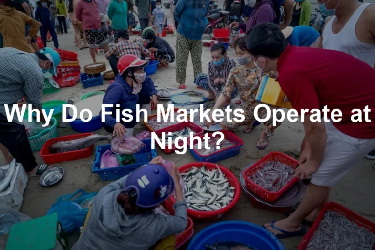 Featured image for Why Do Fish Markets Operate at Night?