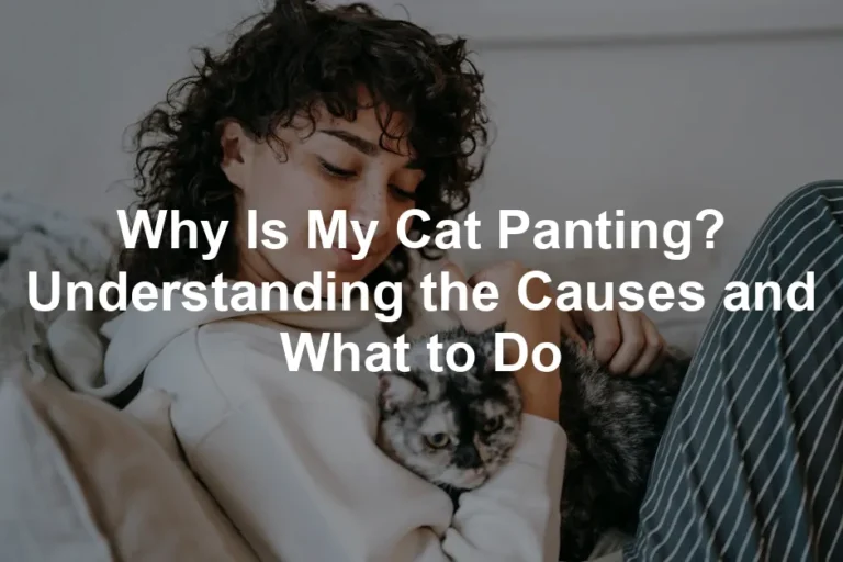 Featured image for Why Is My Cat Panting? Understanding the Causes and What to Do