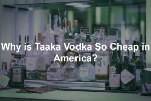 Featured image for Why is Taaka Vodka So Cheap in America?