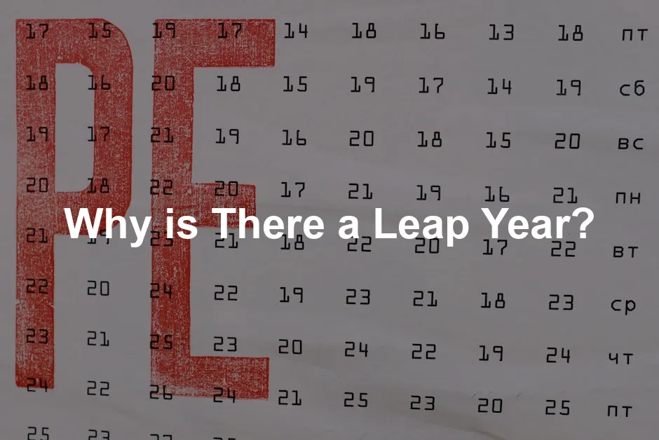 Featured image for Why is There a Leap Year?