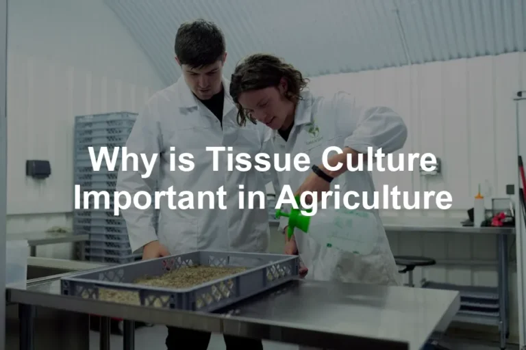 Featured image for Why is Tissue Culture Important in Agriculture