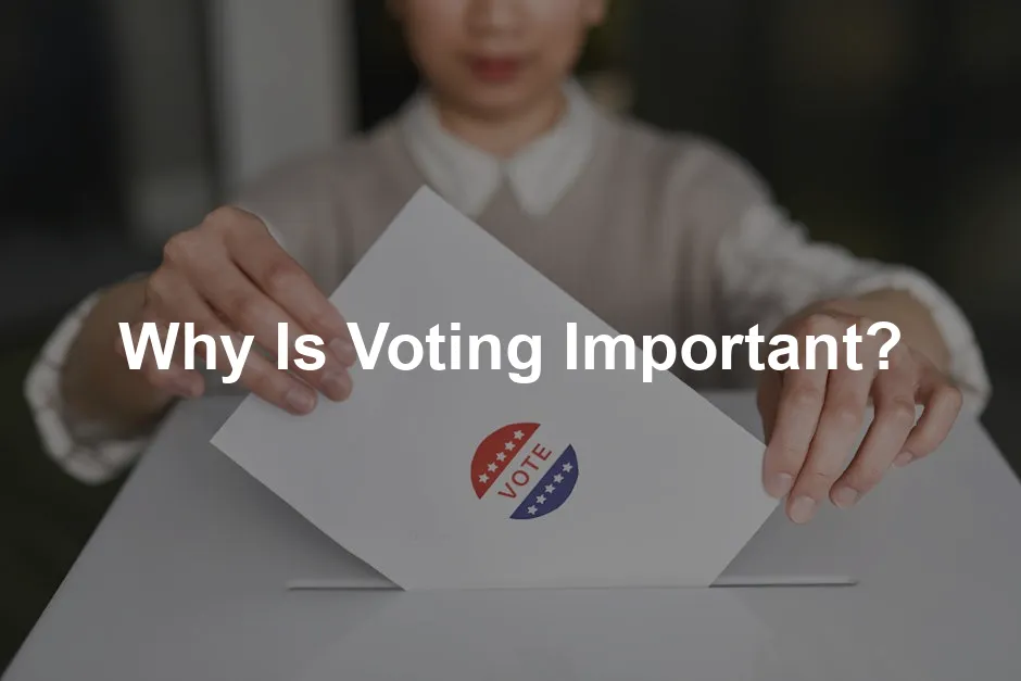 Featured image for Why Is Voting Important?