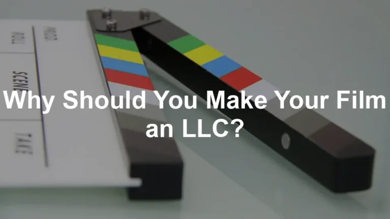 Featured image for Why Should You Make Your Film an LLC?