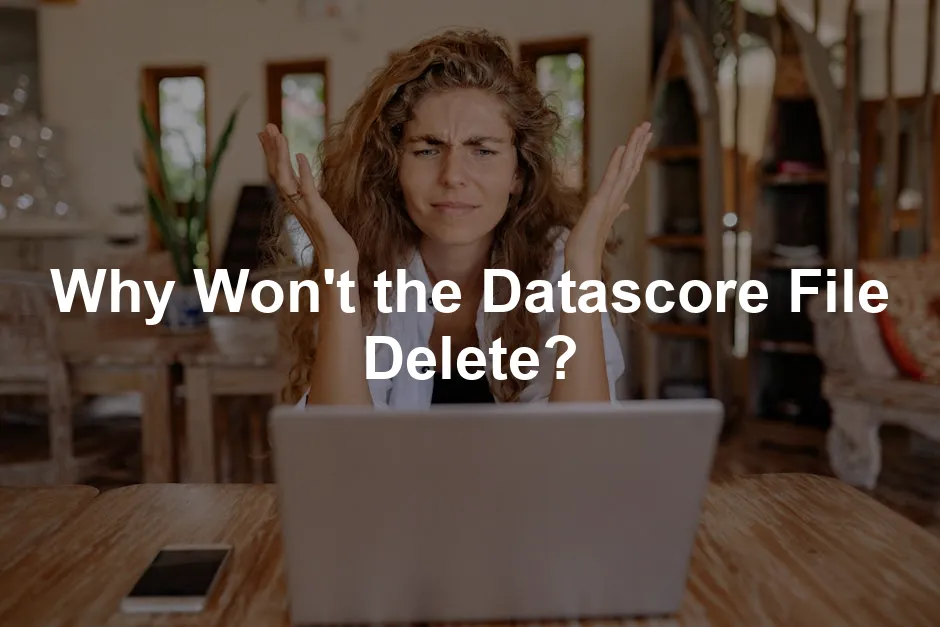 Featured image for Why Won't the Datascore File Delete?